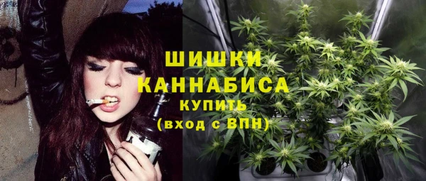 сатива Балабаново