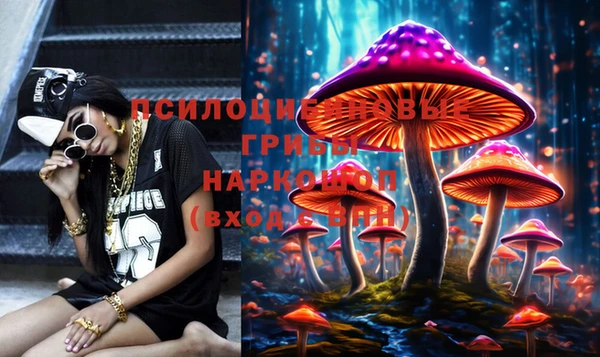 сатива Балабаново